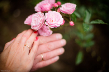 Hõbepulm svg+xml,%3Csvg%20xmlns%3D%22http%3A%2F%2Fwww.w3 - Hõbepulm