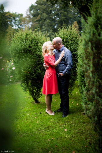 Hõbepulm svg+xml,%3Csvg%20xmlns%3D%22http%3A%2F%2Fwww.w3 - Hõbepulm