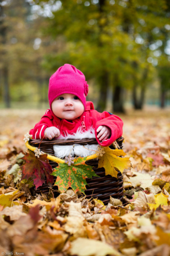 Beebid sügises | beebigrupid | baby photography svg+xml,%3Csvg%20xmlns%3D%22http%3A%2F%2Fwww.w3 - Beebid sügises | beebigrupid | baby photography