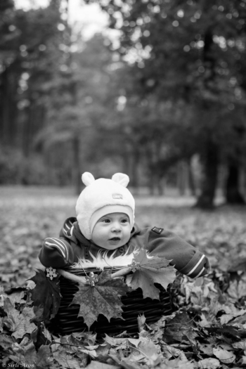 Beebid sügises | beebigrupid | baby photography svg+xml,%3Csvg%20xmlns%3D%22http%3A%2F%2Fwww.w3 - Beebid sügises | beebigrupid | baby photography