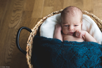 Meenutus 2016 aastast | head uut aastat | perepildid svg+xml,%3Csvg%20xmlns%3D%22http%3A%2F%2Fwww.w3 - Meenutus 2016 aastast | head uut aastat | perepildid