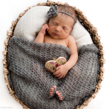 Meenutus 2016 aastast | head uut aastat | perepildid svg+xml,%3Csvg%20xmlns%3D%22http%3A%2F%2Fwww.w3 - Meenutus 2016 aastast | head uut aastat | perepildid