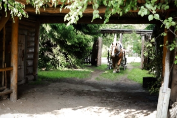 Pulmad|Elise&Rivo|wedding photography|pulmafotograaf|pulma pildistamine svg+xml,%3Csvg%20xmlns%3D%22http%3A%2F%2Fwww.w3 - Pulmad|Elise&Rivo|wedding photography|pulmafotograaf|pulma pildistamine